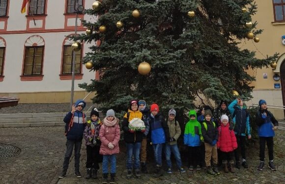 Návštěva knihovny a včelařská výstava