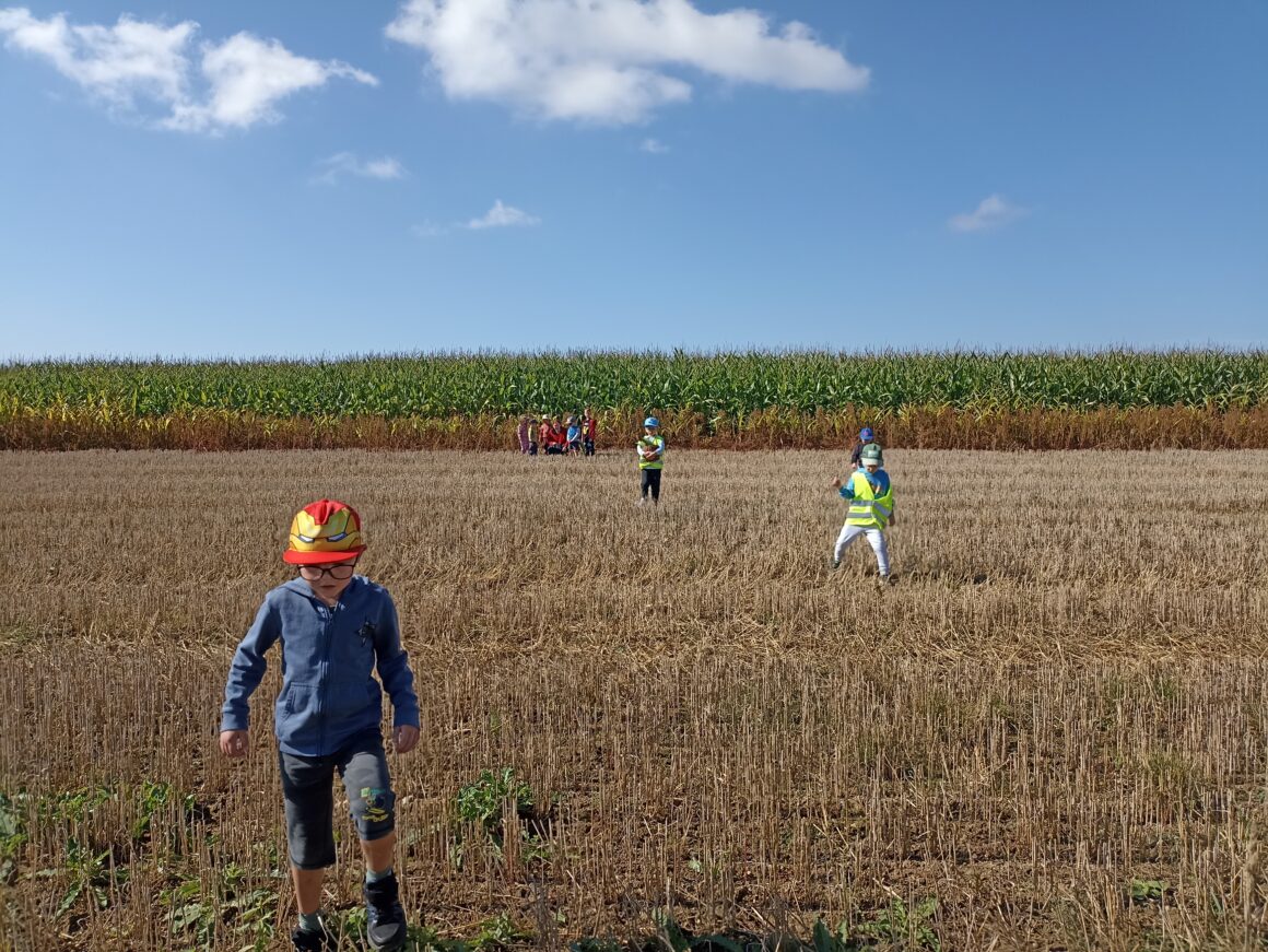 červené září mš 2025