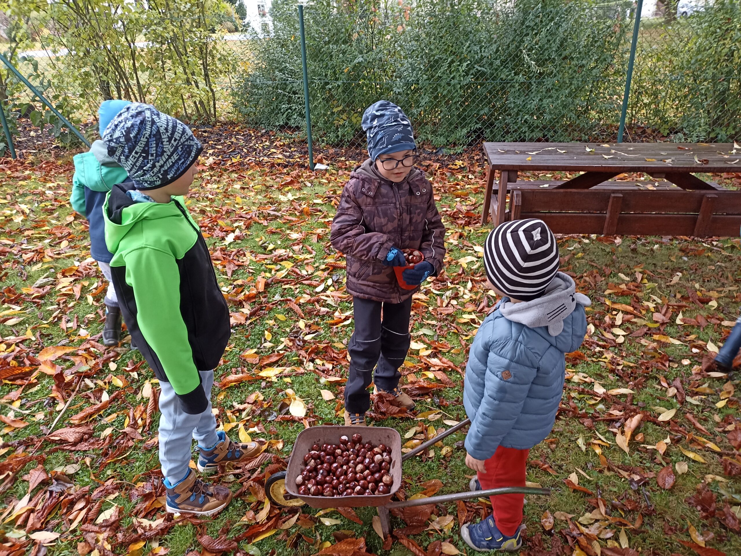 Oranžový říjen MŠ 2025 Oranžový říjen MŠ 2025