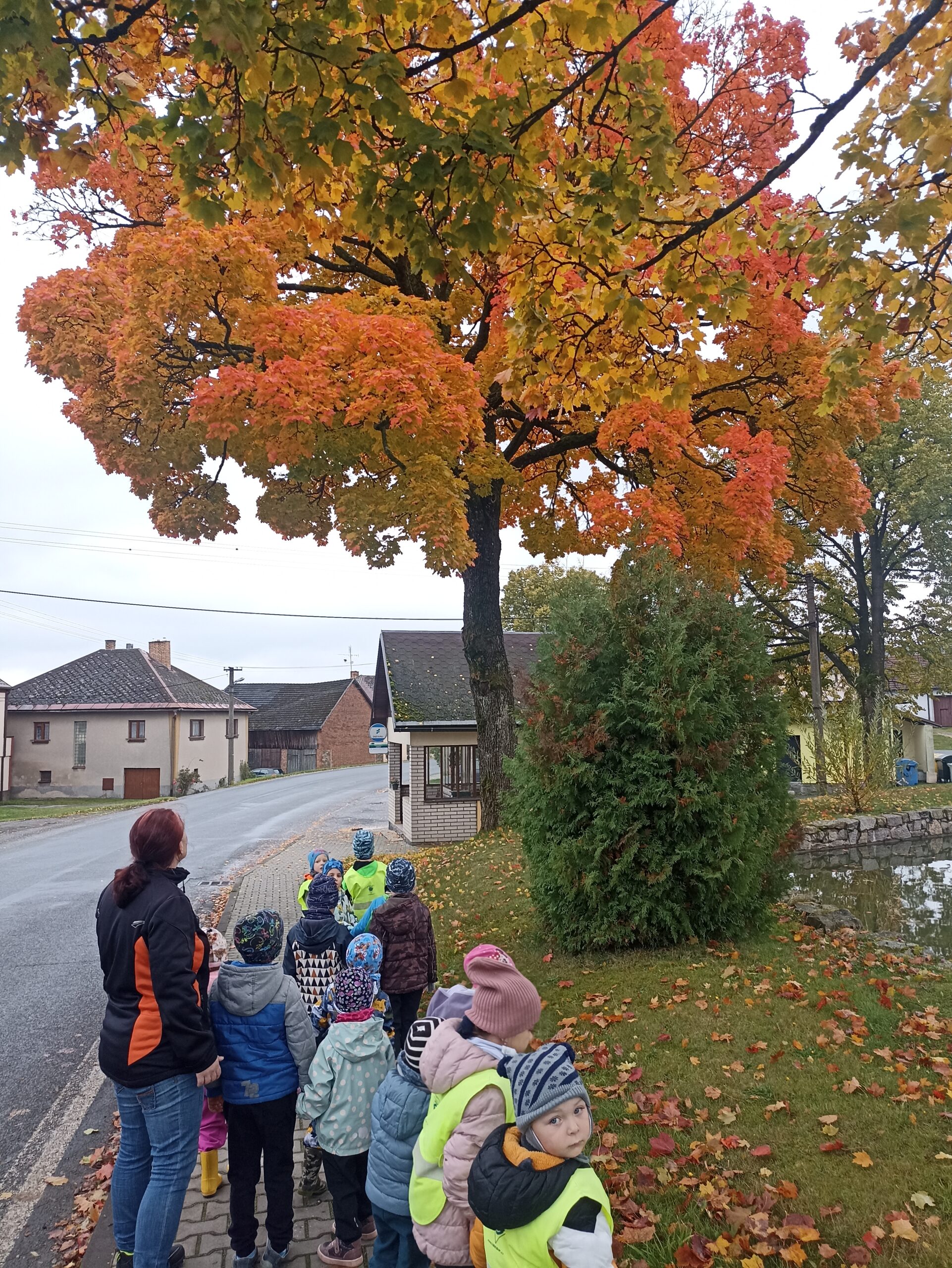 Oranžový říjen MŠ 2025 Oranžový říjen MŠ 2025