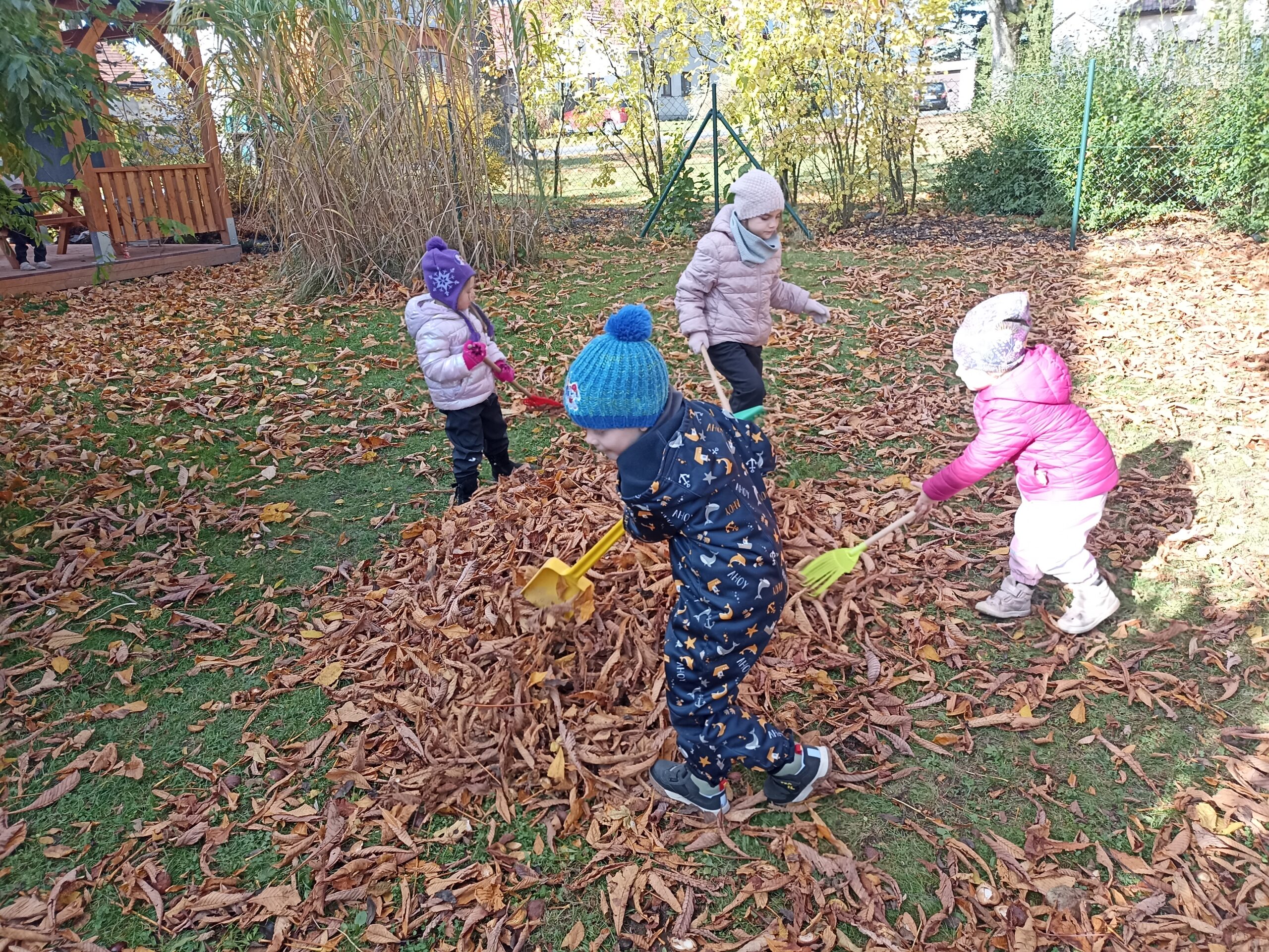 Oranžový říjen MŠ 2025 Oranžový říjen MŠ 2025