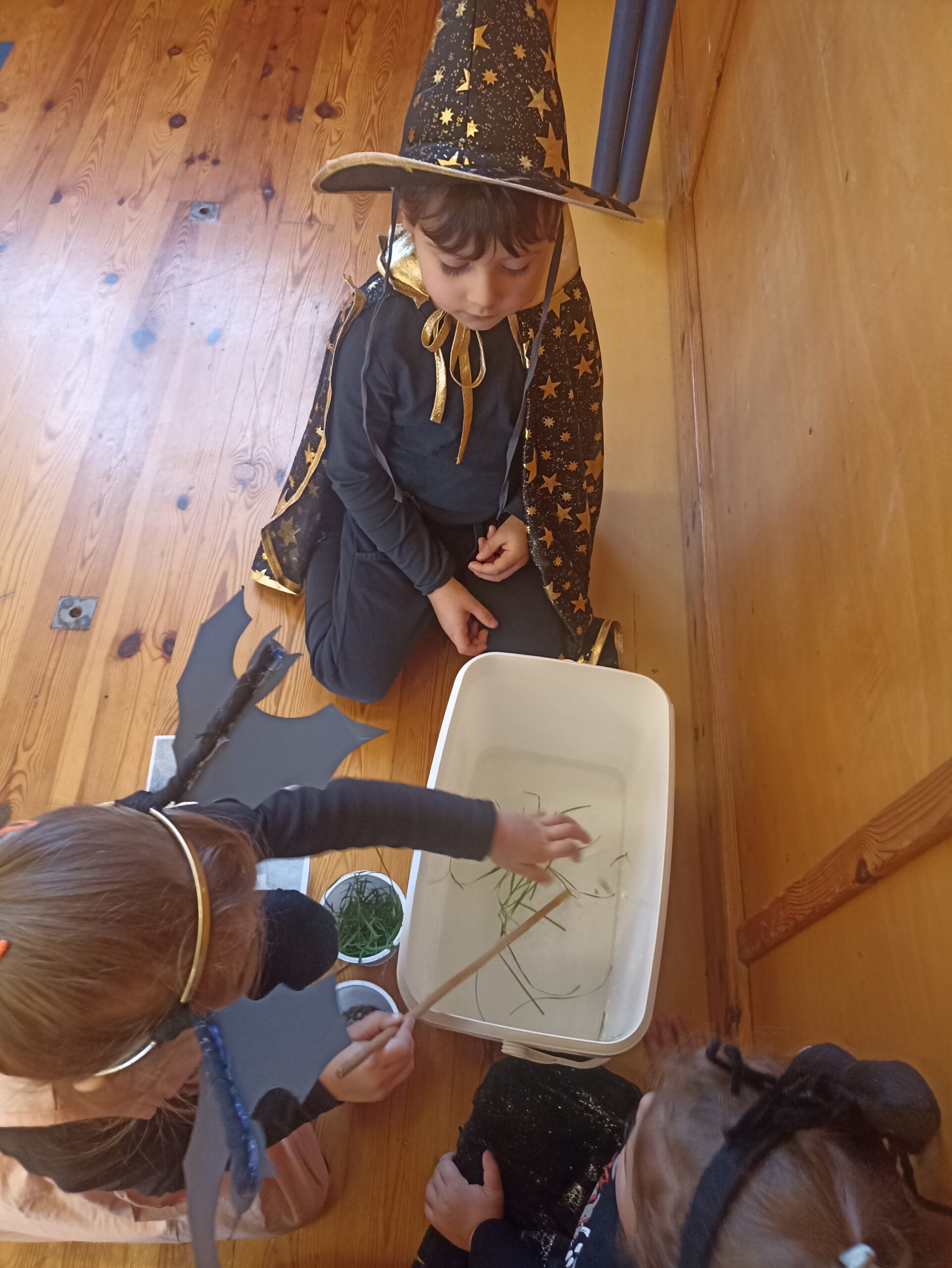 Oranžový říjen MŠ 2025 Oranžový říjen MŠ 2025