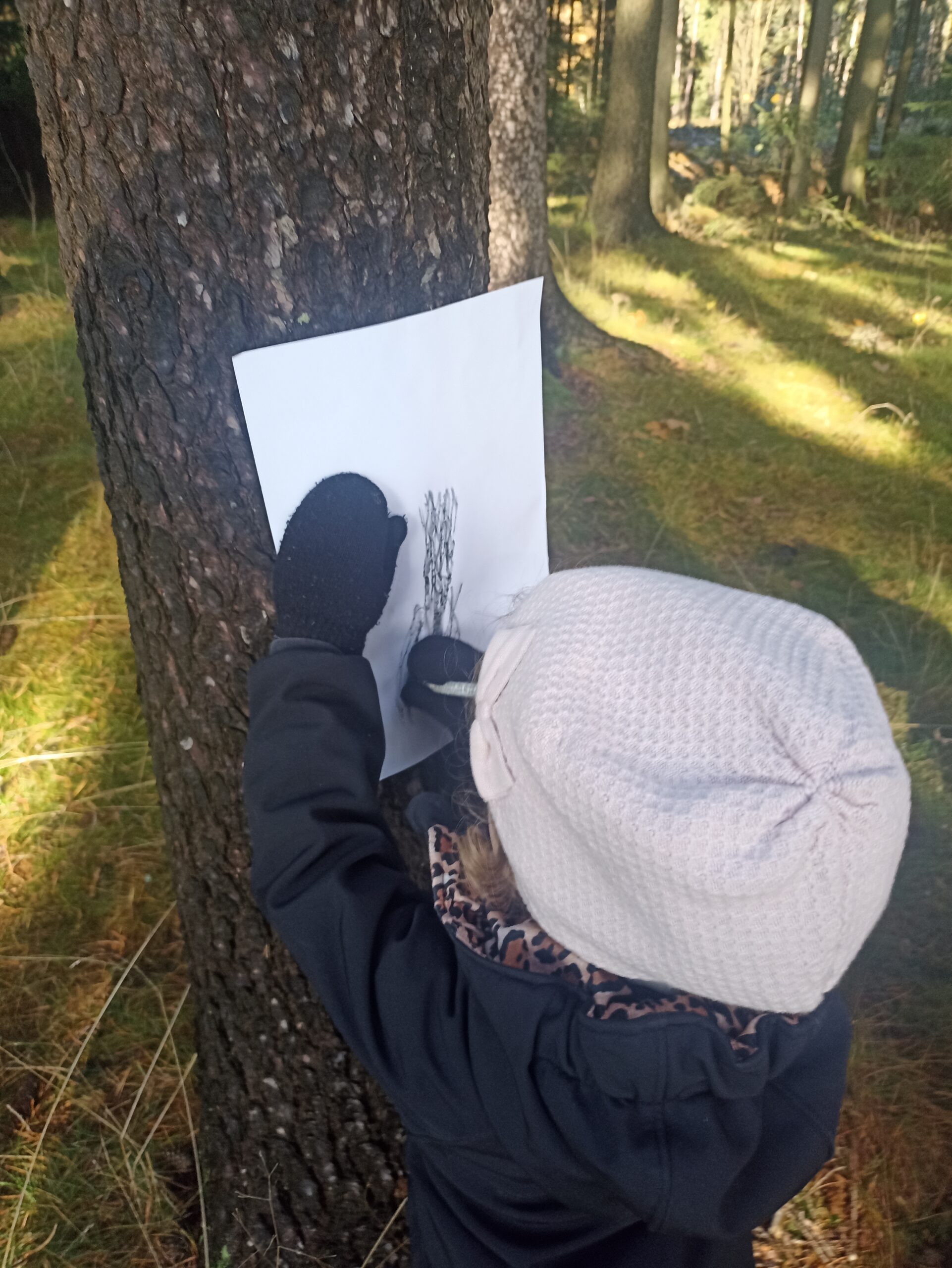 Hnědý listopad MŠ 2025 Hnědý listopad MŠ 2025