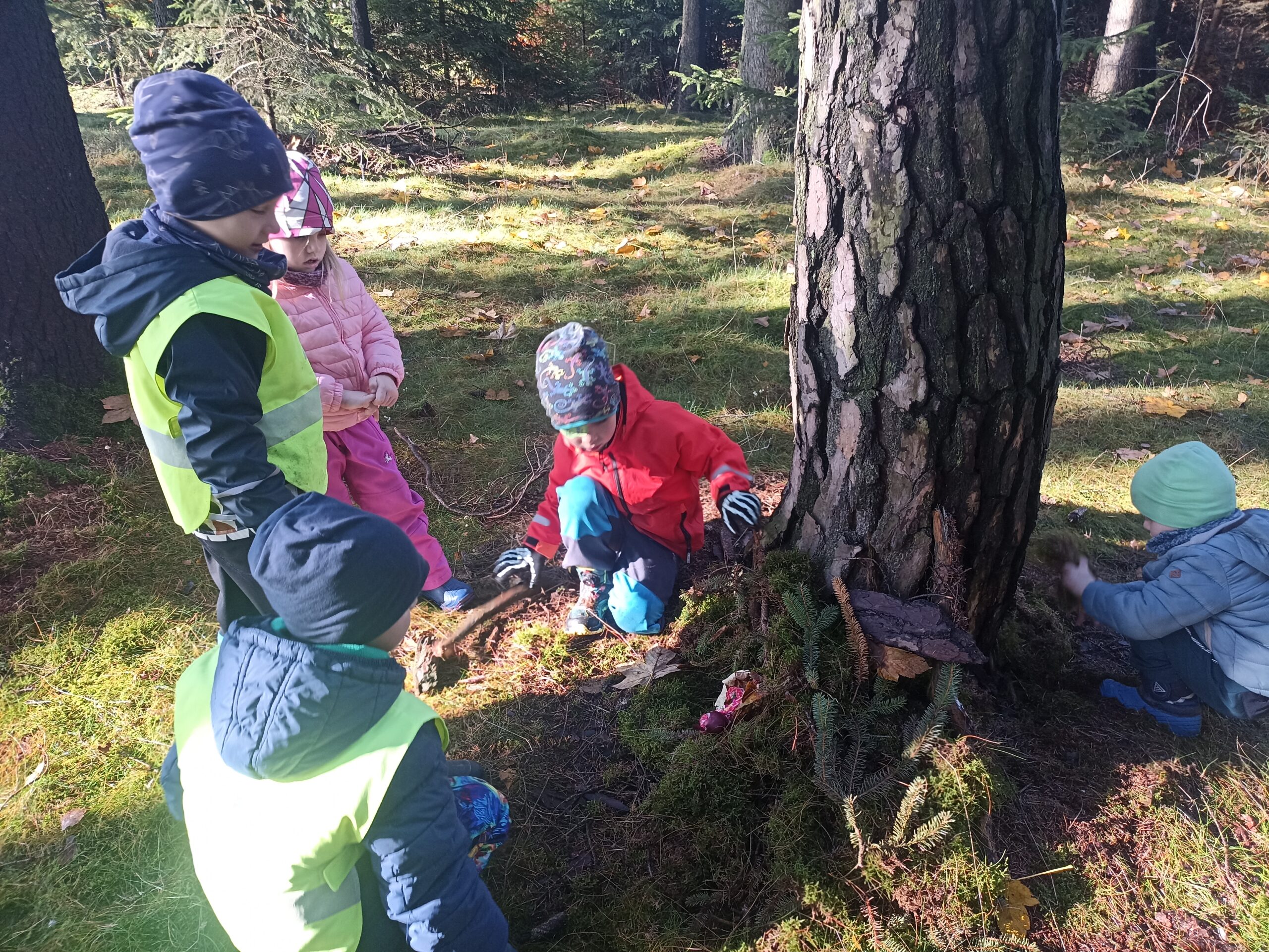 Hnědý listopad MŠ 2025 Hnědý listopad MŠ 2025