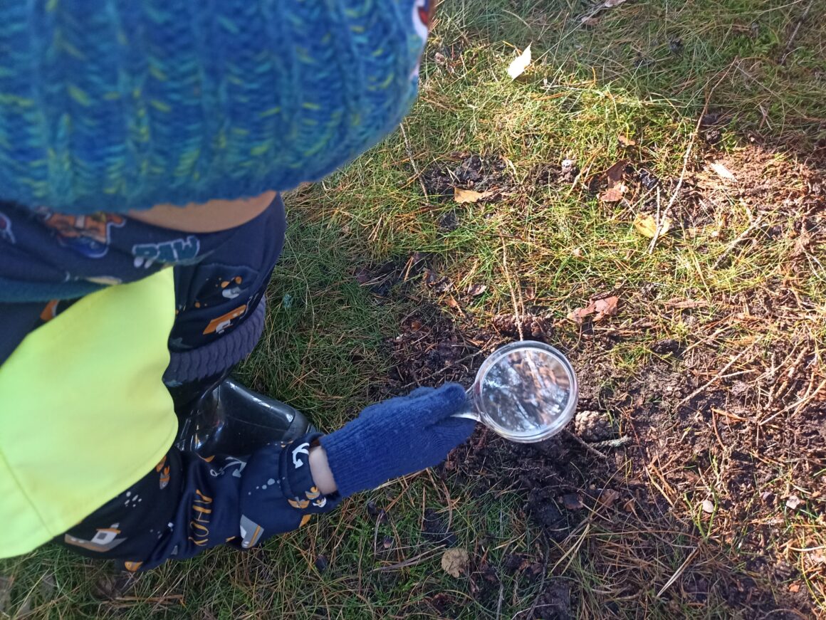 Hnědý listopad MŠ 2025