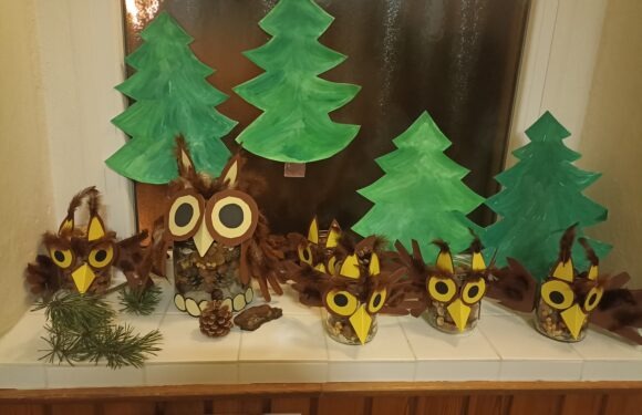 Hnědý listopad MŠ 2025 Hnědý listopad MŠ 2025