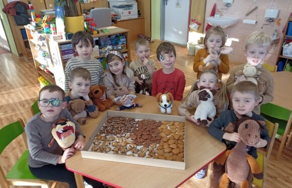 Hnědý listopad Hnědý listopad